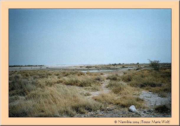 PC-imm026_26A.jpg