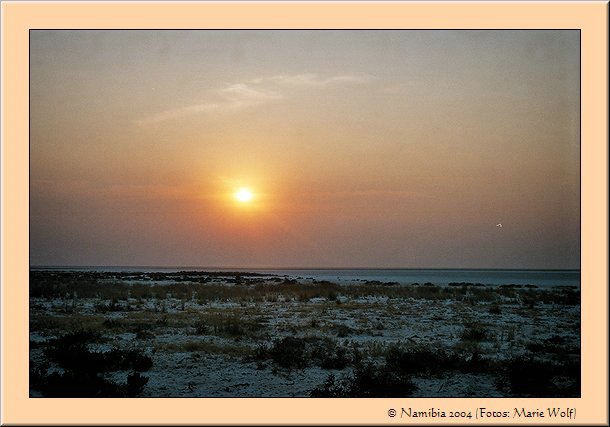 PC-imm005_8-47.jpg