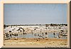 PC-imm002_5-47.jpg