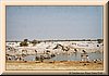 PC-imm003_6-46.jpg