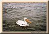 PC-imm016_17-31.jpg