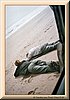 PC-imm024_25-29.jpg
