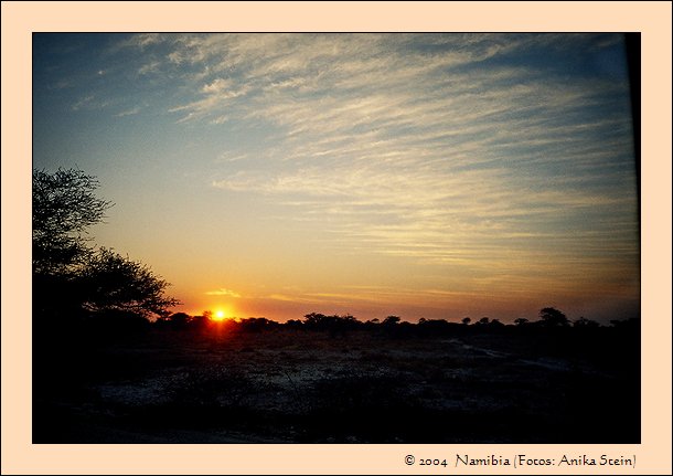 Namibianische Mitbringsel